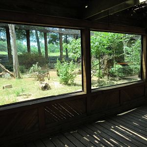 Meerkat/Leopard Tortoise Exhibit