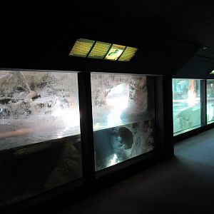 African Penguin Exhibit