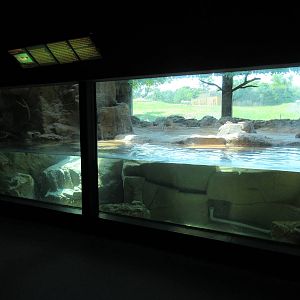 African Penguin Exhibit