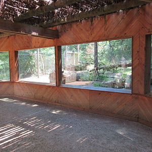 American Black Bear Exhibit