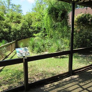 Gopher Tortoise/Three Toed Box Turtle Exhibit