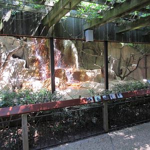 Turkey Vulture/Black Vulture/Barred Owl/Great Horned Owl Exhibit