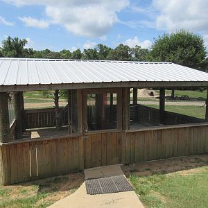 Walk-Through Budgie House