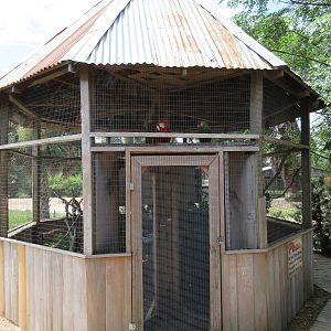 Macaw + Kookaburra Exhibits