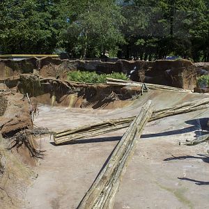 Giant otter enclosure