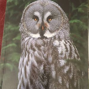 Zoo Guide circa 2001