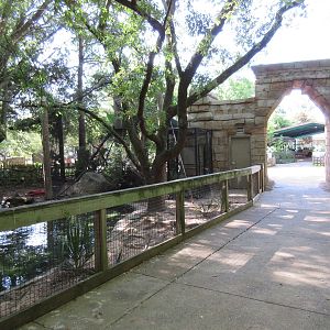 Waterfowl Exhibit + Land of the Jaguar Entrance Arch