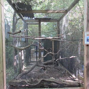 Hyacinth Macaw Exhibit