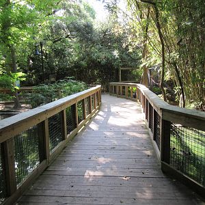 Land of the Jaguar - Visitor Pathway