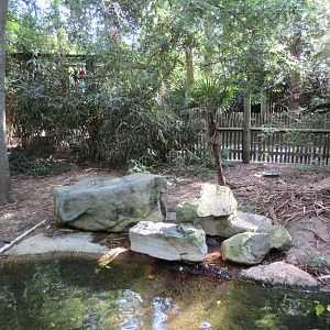 Crested Screamer Exhibit