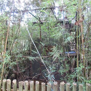 Two-Toed Sloth Exhibit - a lush exterior!