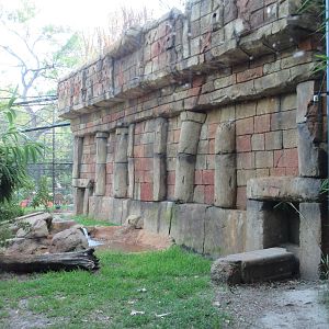 Jaguar Exhibit #1 - Rear Wall