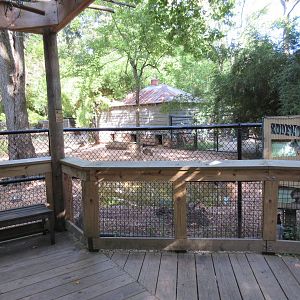 Capybara/Red Rumped Agouti/Patagonian Cavy Exhibit