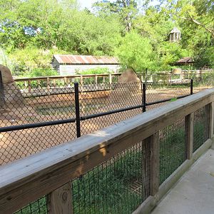 Brazilian Tapir/Capybara Exhibit