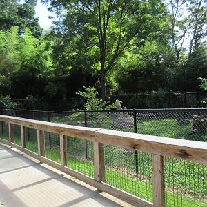 Giant Anteater Exhibit