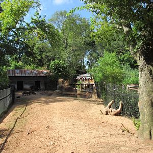 Brazilian Tapir/Capybara Exhibit