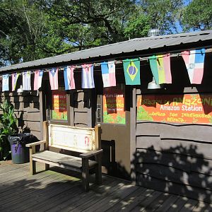 Future Amazon Station (reptiles, fish + invertebrates)