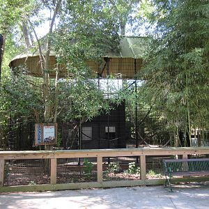 Black Howler Monkey Exhibit