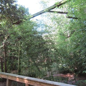 Andean Condor Exhibit