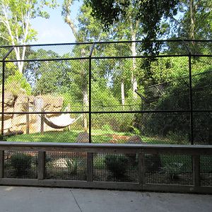 Andean Bear Exhibit