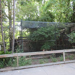 South American Exhibit (4 Species)