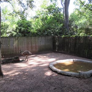 Emu Exhibit