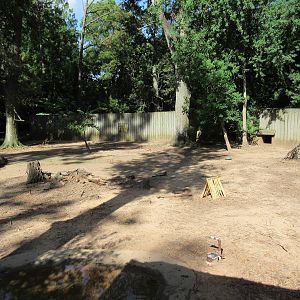 Red Kangaroo/Red-Necked Wallaby Exhibit
