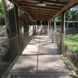Australian Boardwalk