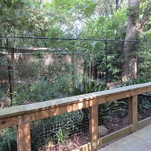 Chinese Alligator Exhibit