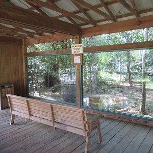 Maned Wolf Exhibit - Viewing Deck