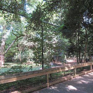 Malayan Tiger Exhibit
