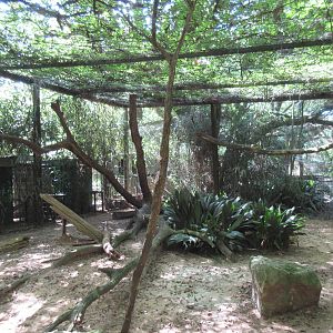 Clouded Leopard Exhibit