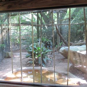 White-Tailed Sea Eagle Exhibit - Viewing Window