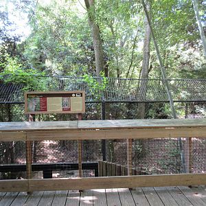 Cougar Exhibit - Upper Viewing Deck
