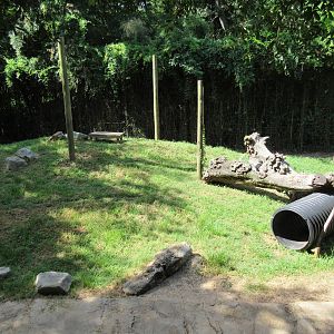 Louisiana Black Bear Exhibit