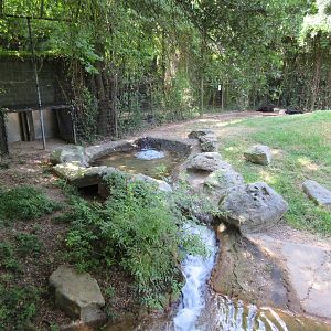 Louisiana Black Bear Exhibit - Pool + Dens