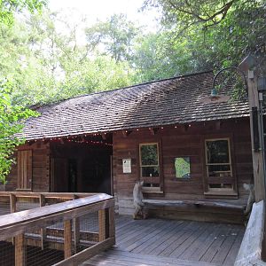 Small Animal House (a few native reptiles, amphibians and fish)