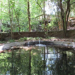 Alligator Snapping Turtle Exhibit - Upper View