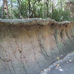 Mudbank Along Visitor Pathway