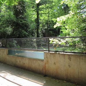 Native Turtle Exhibit