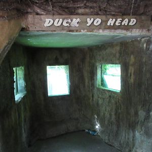 Duck Yo Head! - American Alligator Underwater Viewing