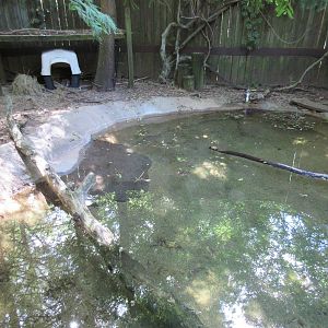 Beaver Exhibit