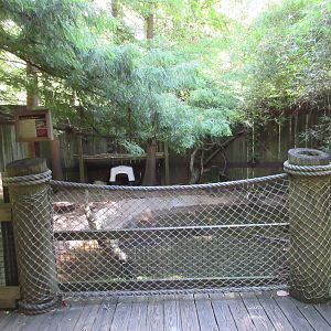 Beaver Exhibit