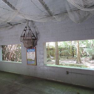 Florida Sandhill Crane Exhibit