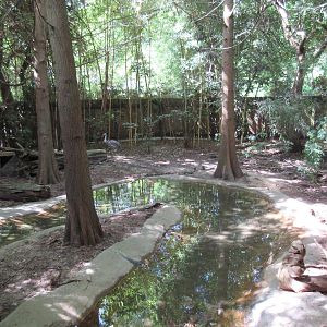 Florida Sandhill Crane Exhibit