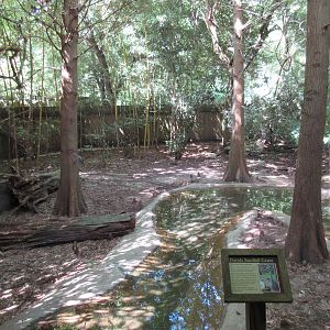 Florida Sandhill Crane Exhibit