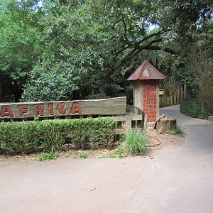 Africa - Entrance Area
