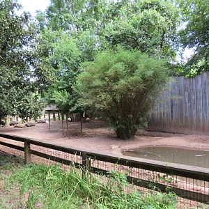 Aldabra Tortoise/African Spurred Tortoise/Greater Flamingo Exhibit