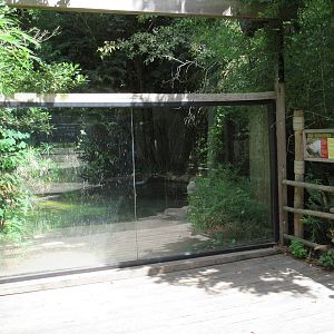 Nile Crocodile Exhibit