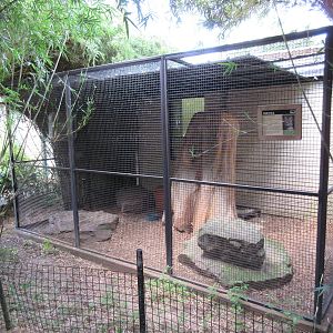 Education Building - Serval Exhibit